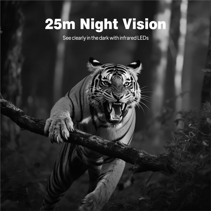 BTLIFE-Wildlife Surveillance 1 - Trail Camera Infrared ulasan dan harga