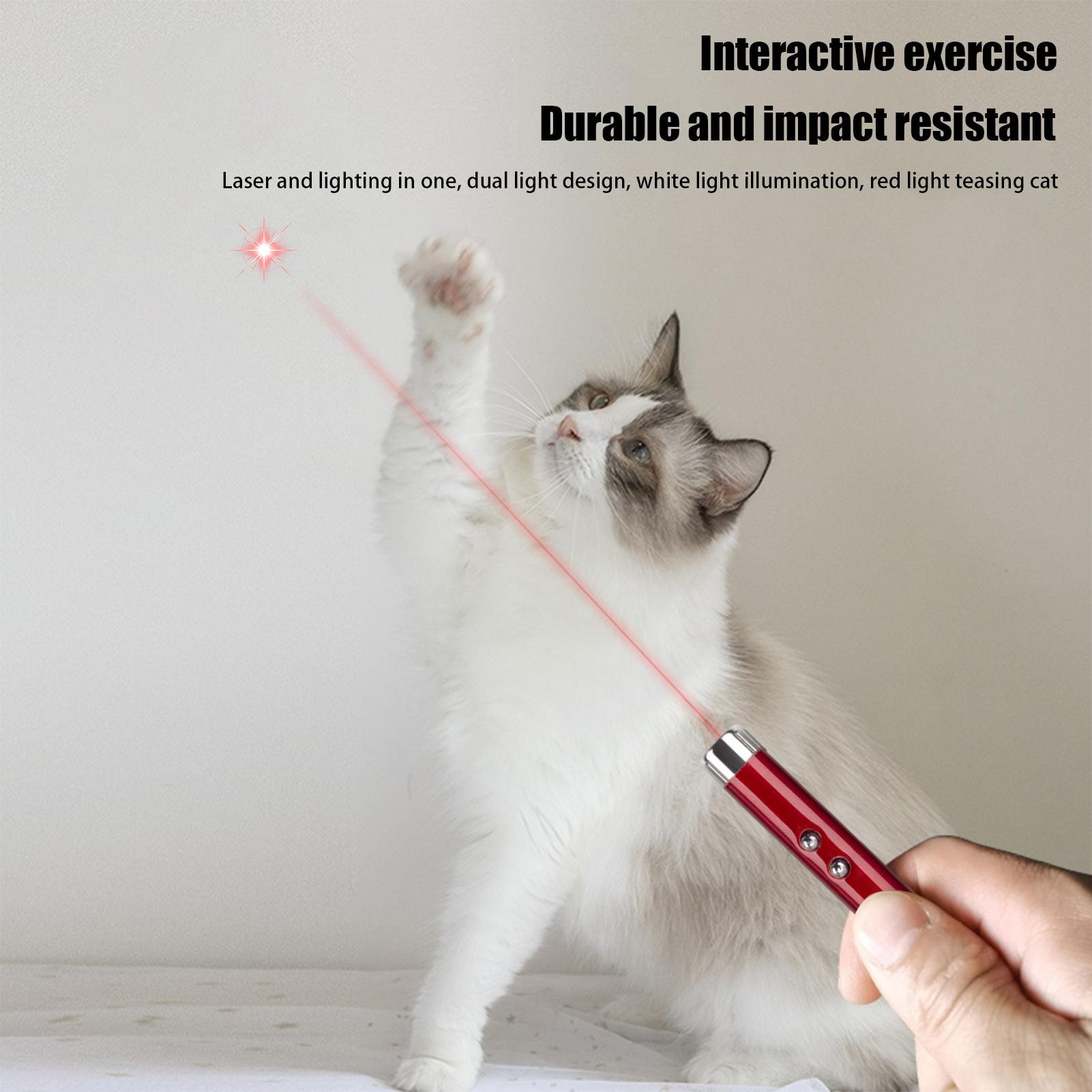 Hunting Cat Toys Pet Cat Teasi - Trail Camera Infrared ulasan dan harga