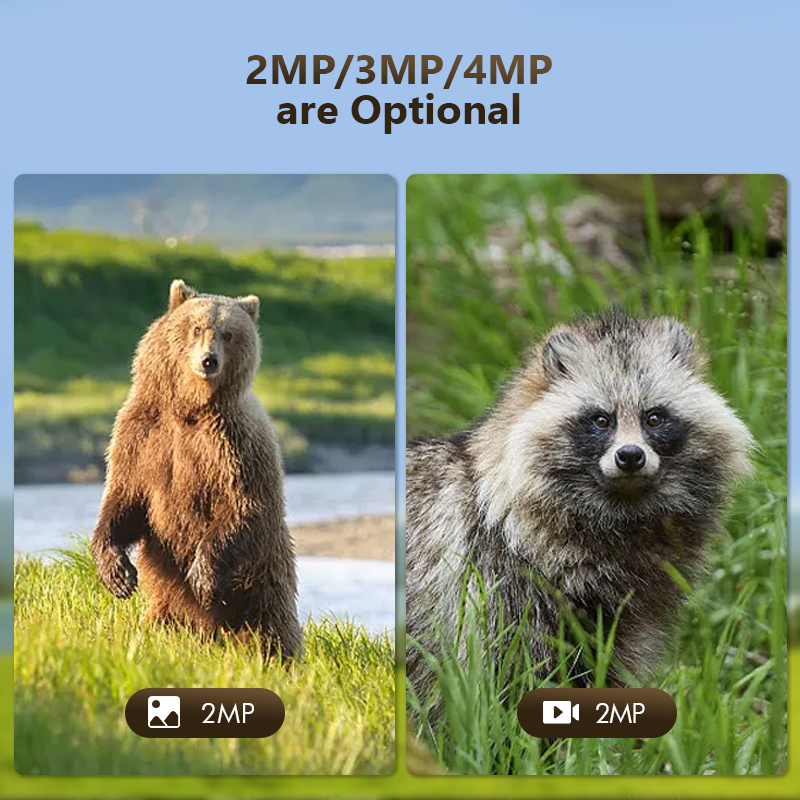 4G 4MP Outdoor Wildlife Huntin - Trail Camera Infrared ulasan dan harga